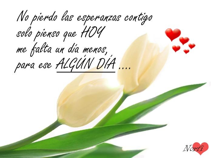 Me lo pierdo sin falta Descubre qué significa esta expresión
